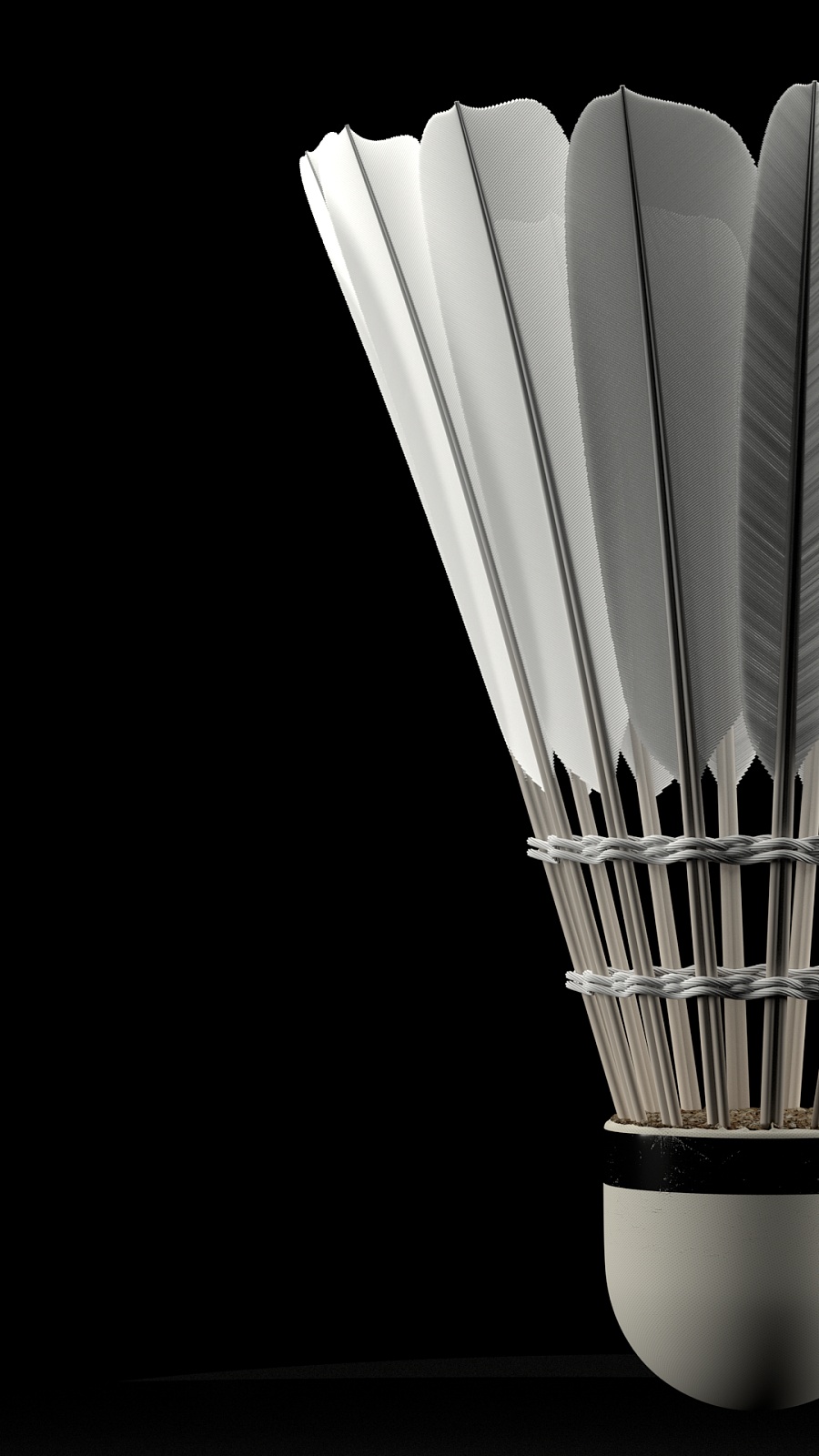 完全变了样 完全变了样